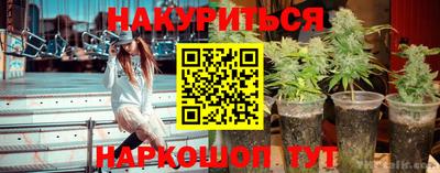 гашик Балашиха