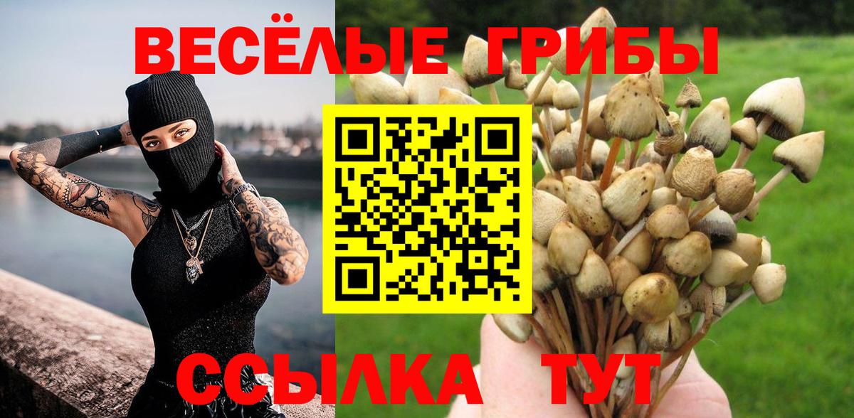 Галлюциногенные грибы ЛСД  Вход с VPN  Астрахань 