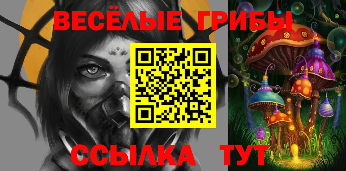 Псилоцибиновые грибы мицелий Астрахань