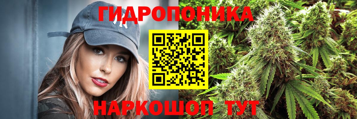Бошки марихуана VHQ Астрахань